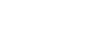 Lost Shore Logo